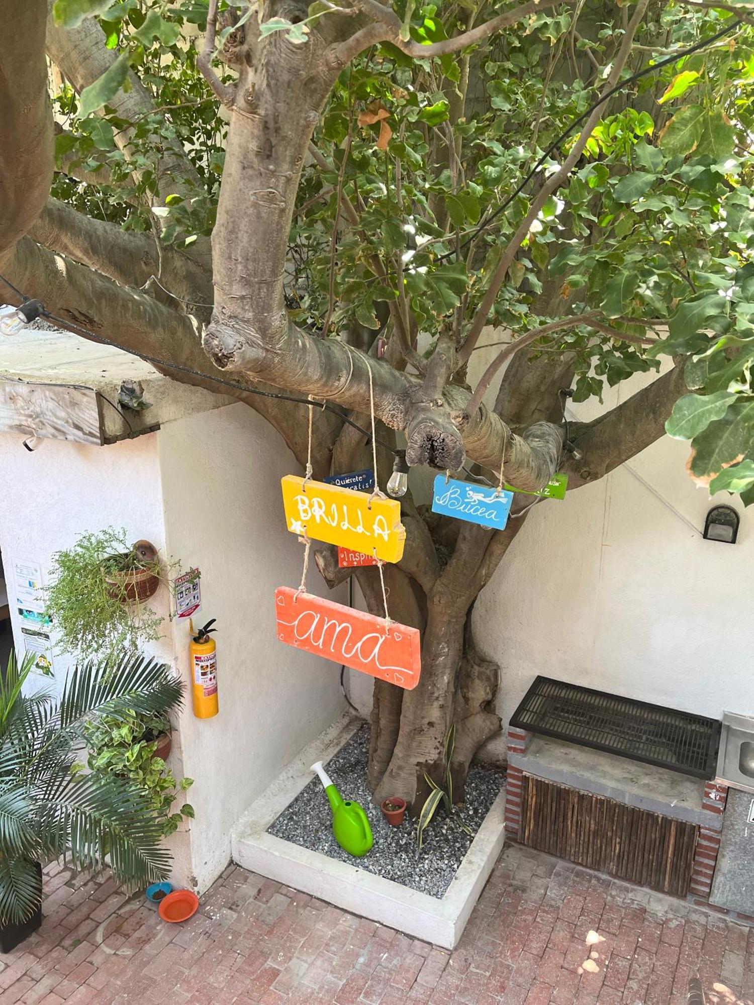 Ocean Lovers Hostel & Apartments Taganga Dış mekan fotoğraf