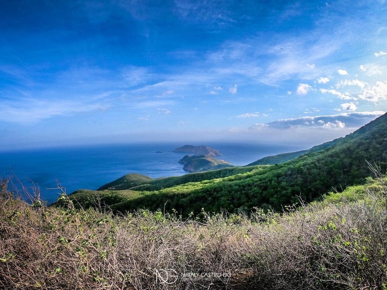 Ocean Lovers Hostel & Apartments Taganga Dış mekan fotoğraf