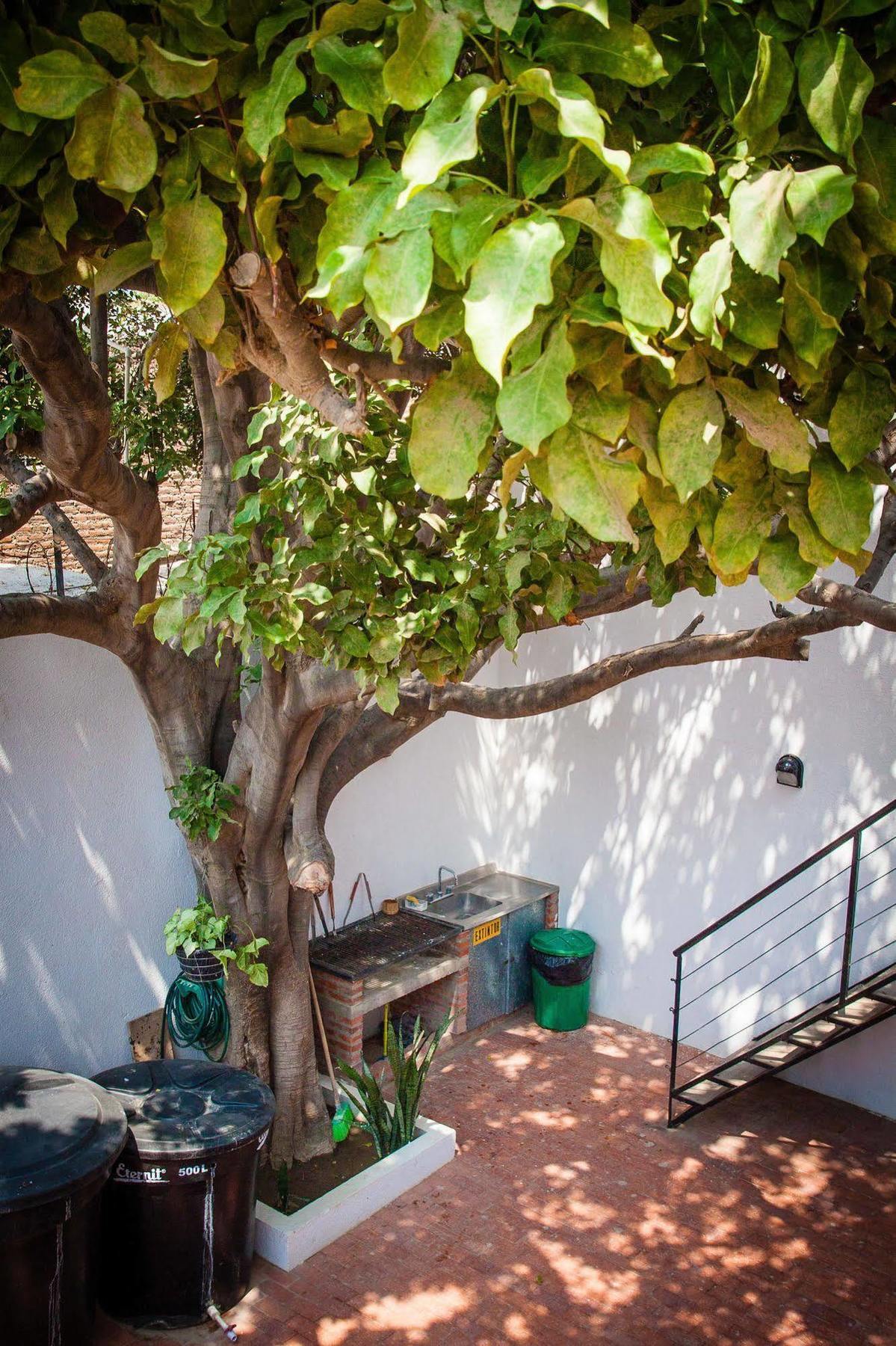 Ocean Lovers Hostel & Apartments Taganga Dış mekan fotoğraf